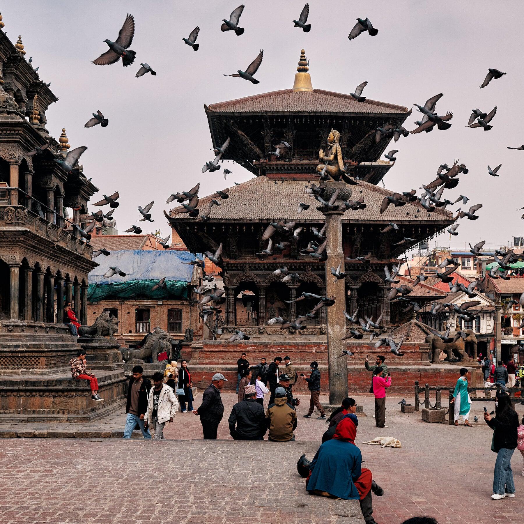 Pigeons in flight over the pagoda temples of Patan Durbar Square in the Kathmandu Valley